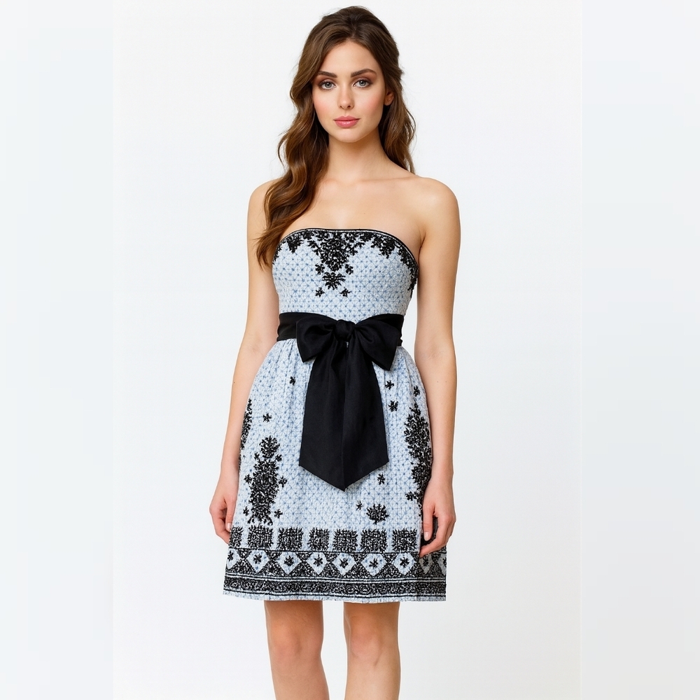 Anthropologie Moulinette Soeurs Elysian Embroidered Strapless Dress 4